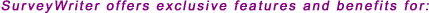 Web surveys and online market research tools